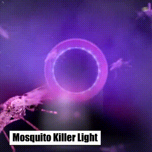 Odorless UV Light Mosquito Lamp